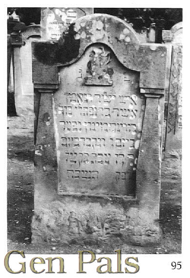 Herz (Gutmann), Elias
